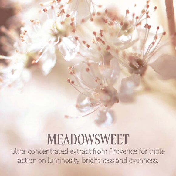 L'occitane Reine Blanche Intense Illuminating Foam 5 oz / 150 ml NEW - Picture 7 of 8